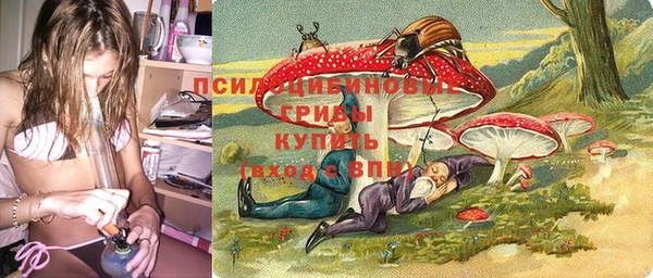 гашиш Бикин