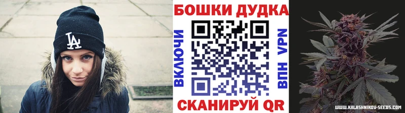 Бошки Шишки планчик Эртиль